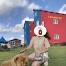 돌고래전망카페 이미지