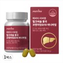 엔씨네이처 이미지