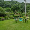 완두콩가족펜션 이미지