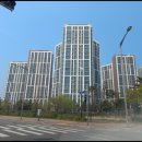 유성아파트 정문 앞 횡단보도 네이버블로그