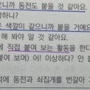 Re: 기출 p.53 피아제: 동화에 해당하는 예시 찾기 이미지