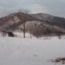 삼밭골목장 이미지