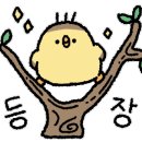 헬로우 낙곱새 미사점