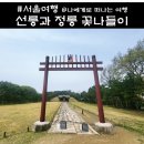 선정릉 공원 산책 풀또기 황매화 조팝나무 죽단화