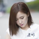 정용 Daum카페