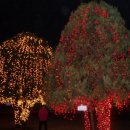 담배인삼공사 이미지