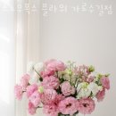 스노우폭스플라워가로수길점