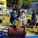 정선초등학교