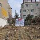 강산부동산공인중개사무소 | [문경부동산] 무단 수목과 폐기물 해결하고 깔끔하게 중개 완료한 문경토지 후기