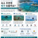 메이블루펜션민박 | 장호해변민박 삼척 장호항 바다 앞 숙소 가격 예약 총정리