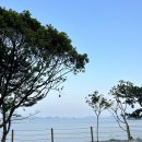 회진명덕초등학교 이미지