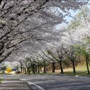 파미힐스 컨트리클럽 이미지