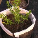 제이농장 이미지