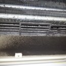 아쿠아 종합동물병원 이미지