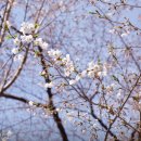 윌 무인텔 이미지