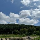 무주읍141 네이버블로그