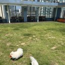 미밍코롯데울산