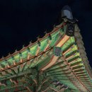 서귀교 | 탈피(240925-0927)