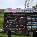 대한민국 최대 철쭉 군락지 황매산