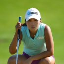 김인경 카카오 검색결과