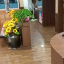 소백산 한돈 이미지