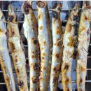 12/7(일)양양 휴휴암,하조대&amp;서퍼비치,외옹치 바다향기로,속초 관광수산시장,도루묵&amp;양미리맛탐여행 이미지