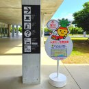 (주)모바일버스 | 오키나와 미야코지마 시모지시마 공항 렌트카 버스 택시 시내 가는법