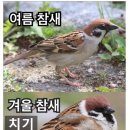무등로 이미지