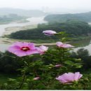 화려강산