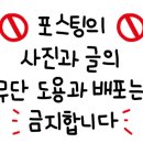 도그마캣포항오천문덕점