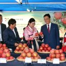 인형극축제 - 만들기 체험 이미지