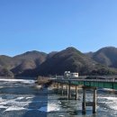 남곡리 | 김해 점집 매화당 - 충북 옥천 교동리 나무님, 남곡리 나무님, 용궁 기도