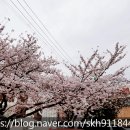 석공인중개사사무소 이미지