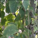 경화농장 이미지