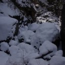 패밀리야영장 이미지