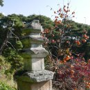 여주 흥왕사 삼층석탑(驪州 興旺寺 三層石塔) 이미지