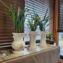 영천한의마을 카페 이미지