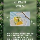 르니플로리