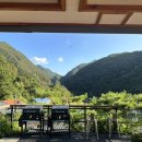 단양마중 이미지