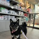 박동물병원 이미지