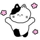 바른정약국 이미지