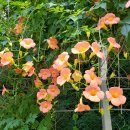 산꾼의집 이미지