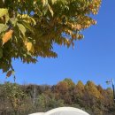 포천 화적연 캠핑장 이미지