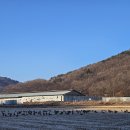 DMZ 평화의 길 3코스 이미지