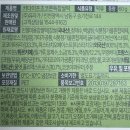 씨유공단점 | 두쫀쿠 씨유 카다이프 초코 쫀득찹쌀떡 CU두쫀쿠 가격