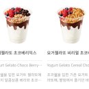 초코 베리 네이버블로그