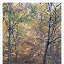 가교2리경로당 이미지