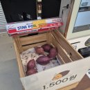 기분좋은쿡 | 용인 바베큐 캠프쿡 삼인동저수지 앞 힐링 명소