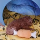 운정튼튼동물병원 이미지