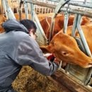 이영길농장 이미지